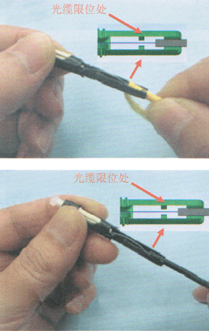 放入纤芯到3M光纤连接器的正确位子